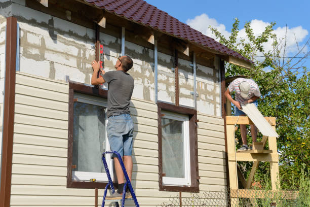 Best Custom Siding Design  in Rosedale, MS